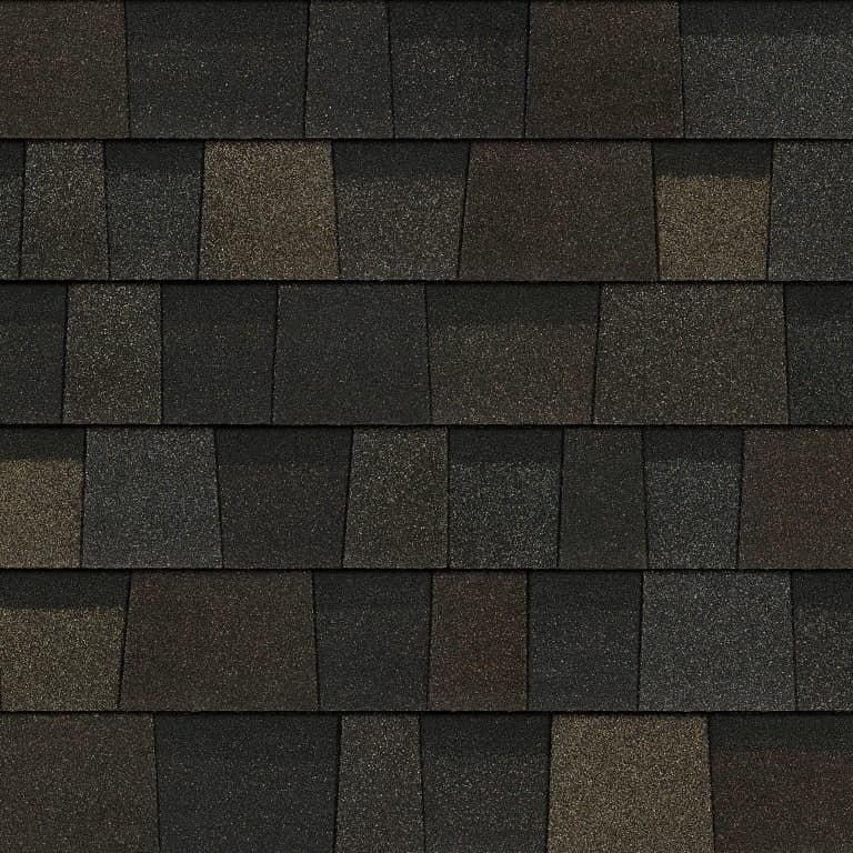 Black Sable