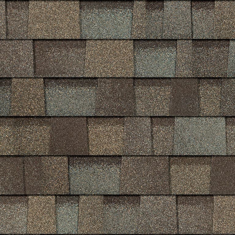 Sycamore
