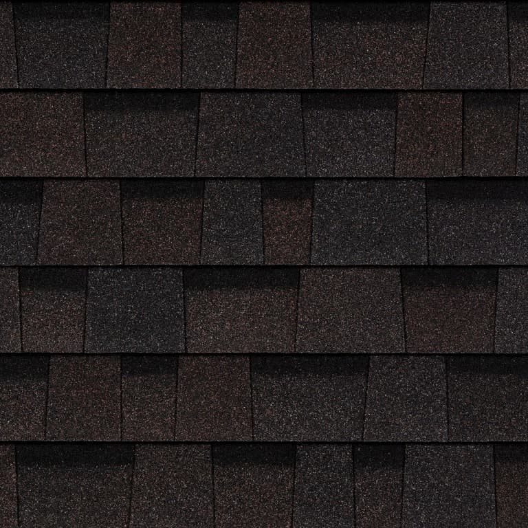 Black Walnut